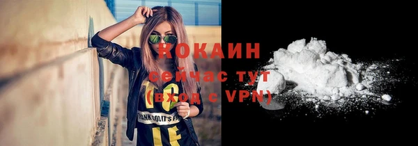 стаф Липки