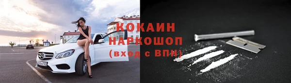 стаф Липки