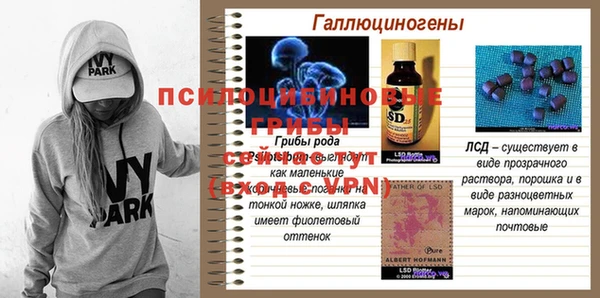 стаф Липки