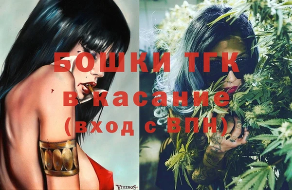 стаф Липки