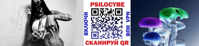 Псилоцибиновые грибы мухоморы  mega маркетплейс  Александров 