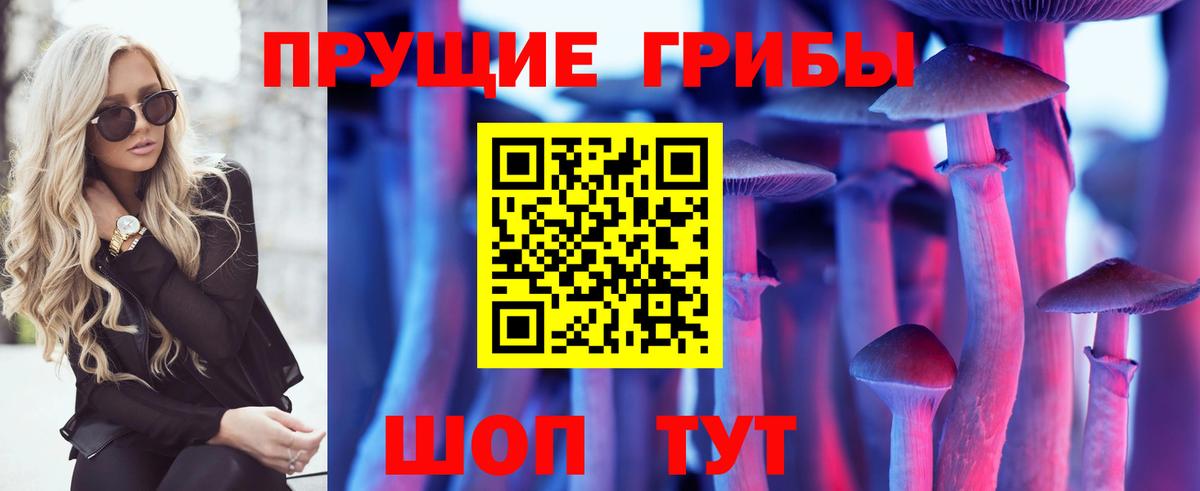 Псилоцибиновые грибы GOLDEN TEACHER Александров